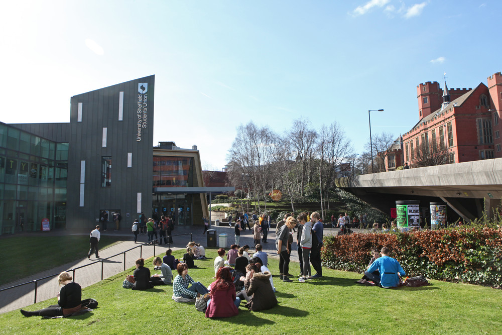 University of Sheffield