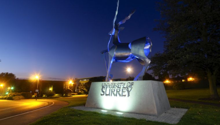 Masteres en University of Surrey
